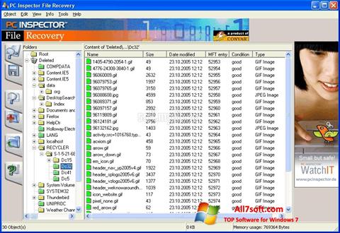 Skjermbilde PC Inspector File Recovery Windows 7
