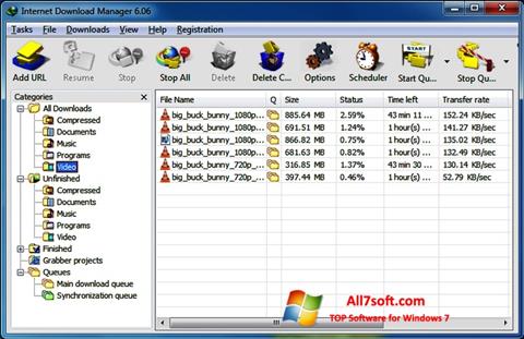 Skjermbilde Internet Download Manager Windows 7