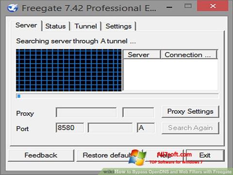 Skjermbilde Freegate Windows 7